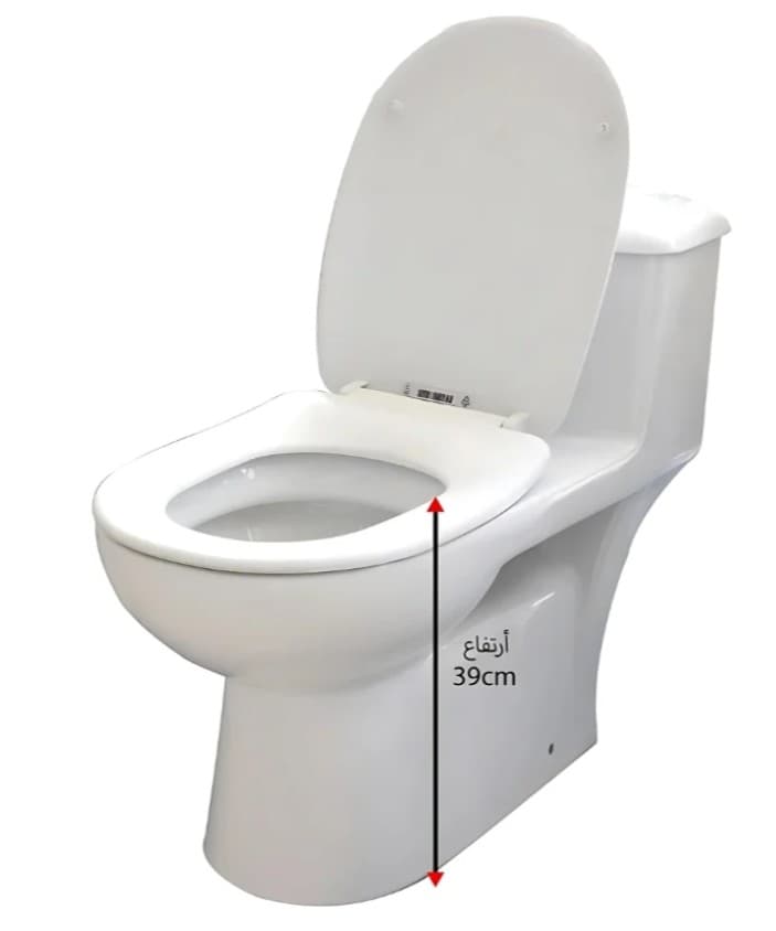 25cm Western-style floor toilet, Saudi-made white ceramic, Nours brand
